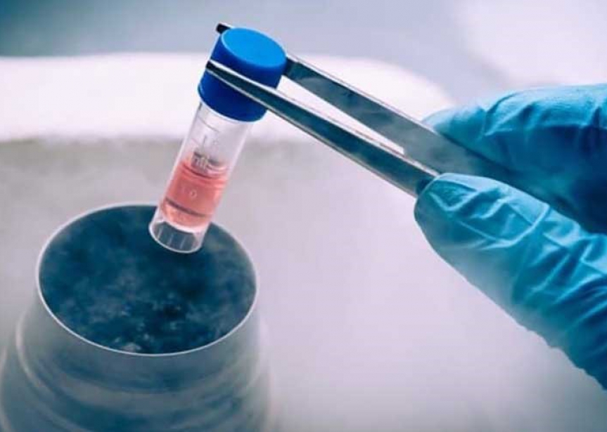 Y Học Tái Tạo Không Dùng Hoá Chất Và Việc Bùng Nổ Công Nghệ Tế Bào Gốc