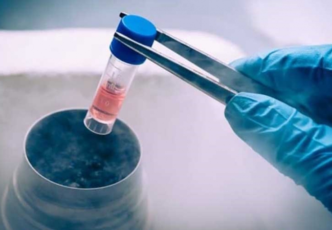 Y Học Tái Tạo Không Dùng Hoá Chất Và Việc Bùng Nổ Công Nghệ Tế Bào Gốc