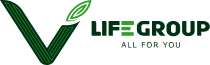 LIFEGROUP.vn